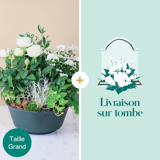 Lumineux Souvenir: Commémorative avec Livraison Directe sur Tombe