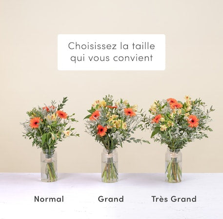 Soleil Premium Handcrafted Leather Sandals