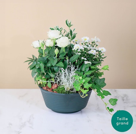 Lumineux Souvenir Decorative Glass Keepsake