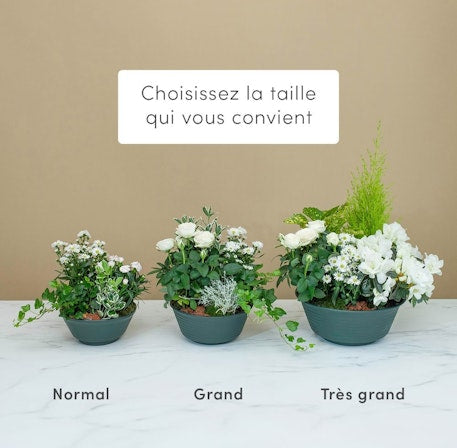 Lumineux Souvenir Decorative Glass Keepsake