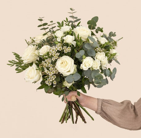 Vert Coton - Premium Organic Cotton T-Shirt