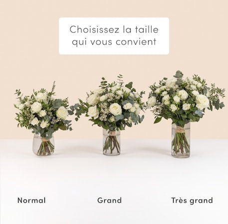 Vert Coton - Premium Organic Cotton T-Shirt