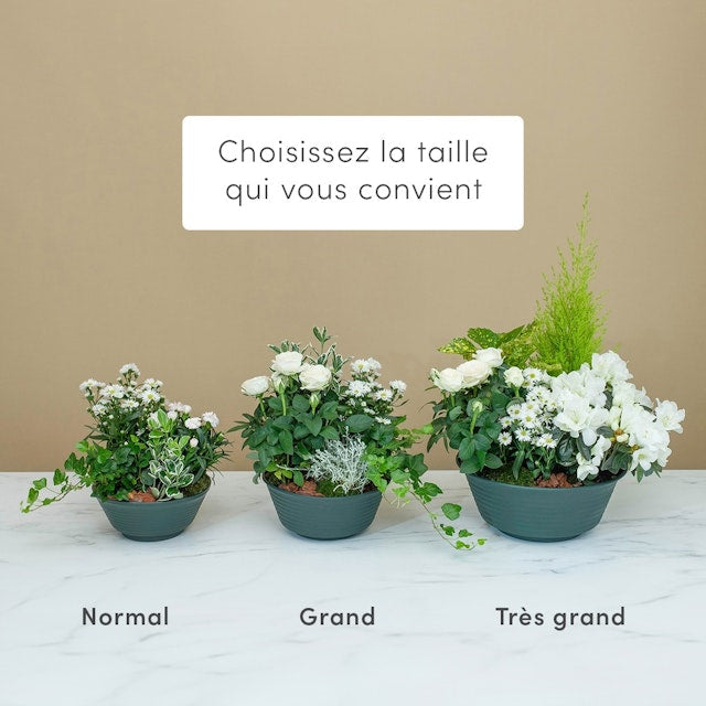 Lumineux Souvenir: Commémorative avec Livraison Directe sur Tombe