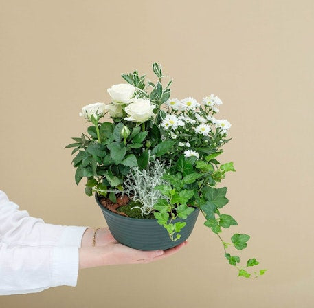 Lumineux Souvenir Decorative Glass Keepsake